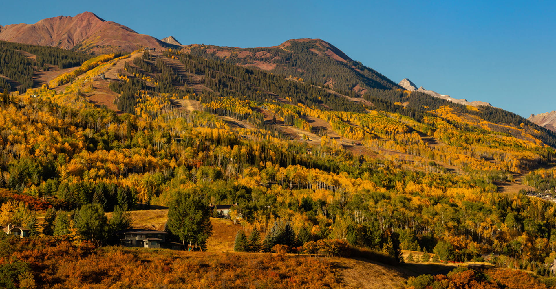 Fall color turns the mountains gold near Aspen Snowmass Colorado