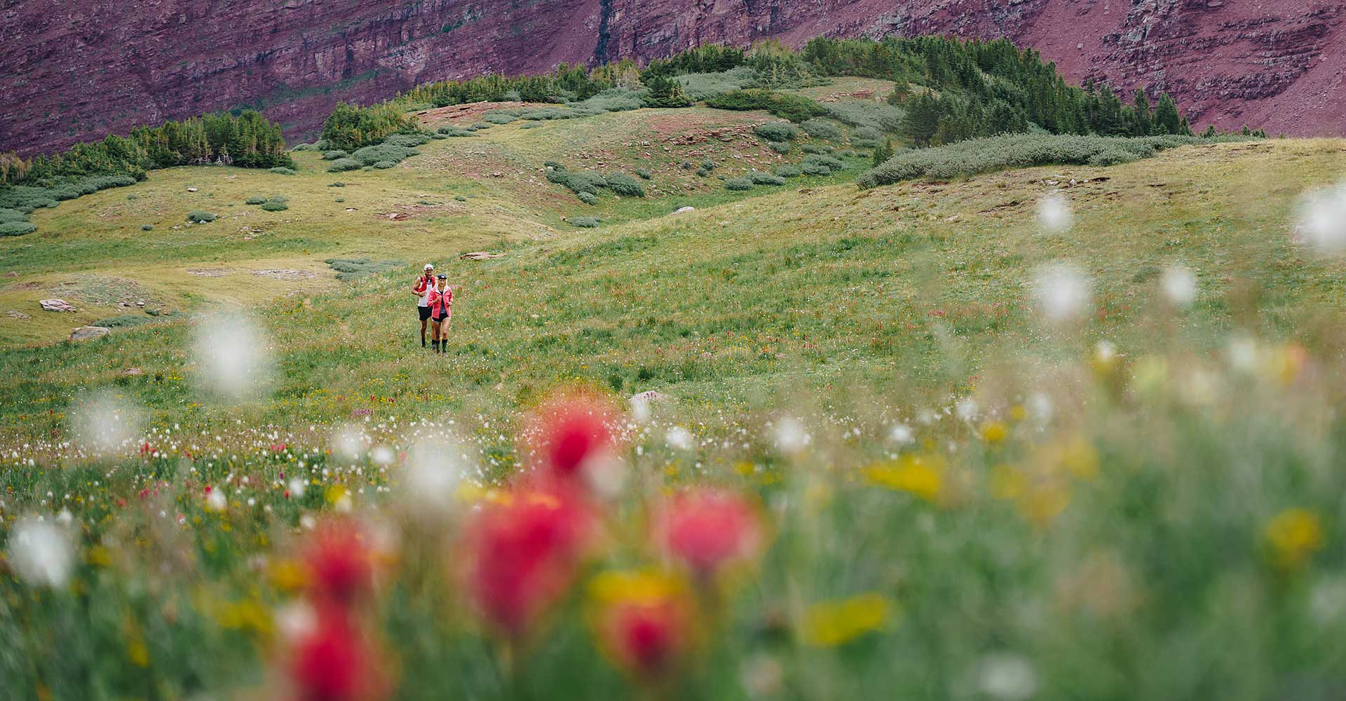 Flowers galore in the Maroon Bells-Snowmass Wilderness
