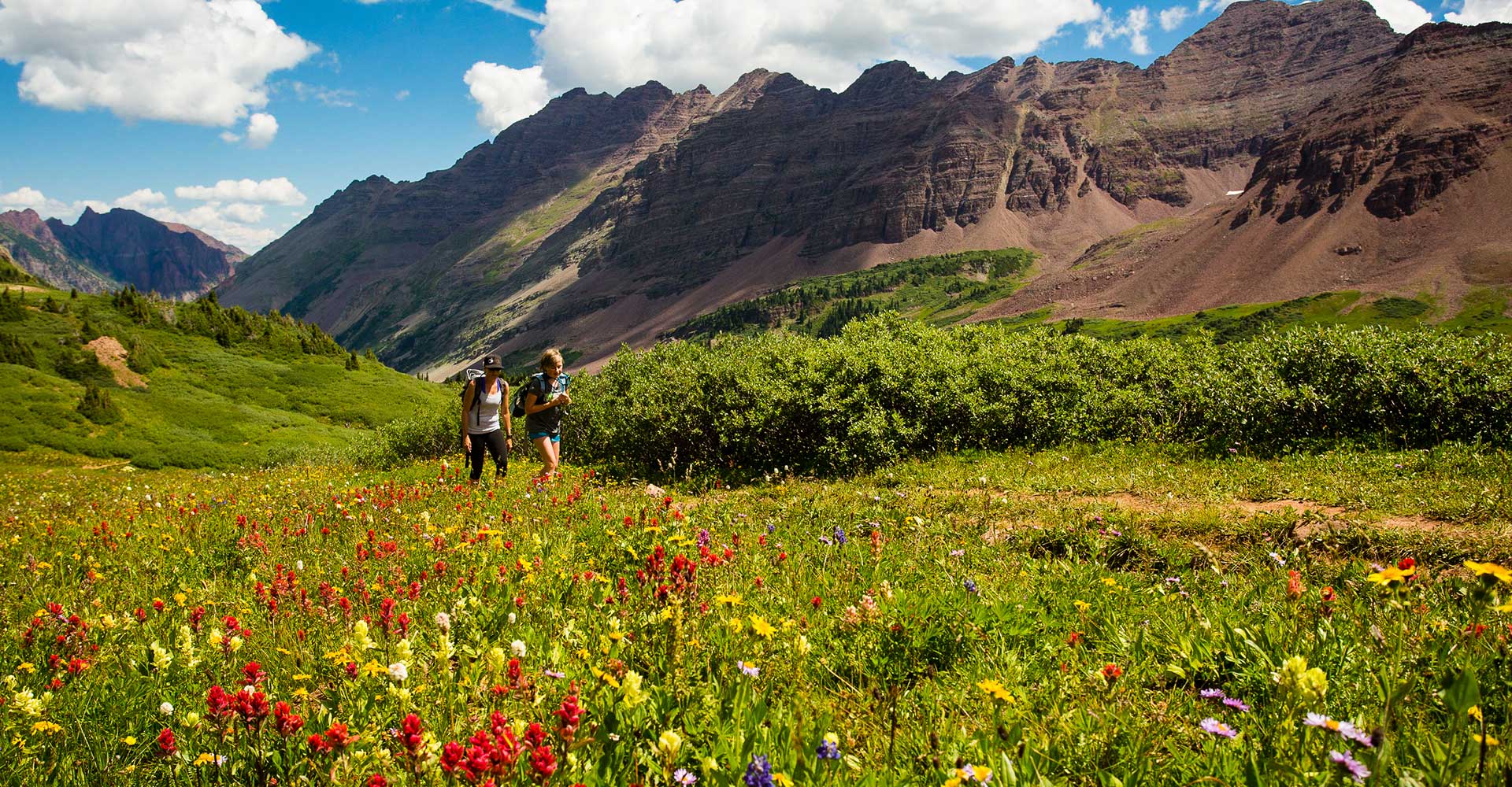 Wildflowers galore en route from Aspen to Crested Butte