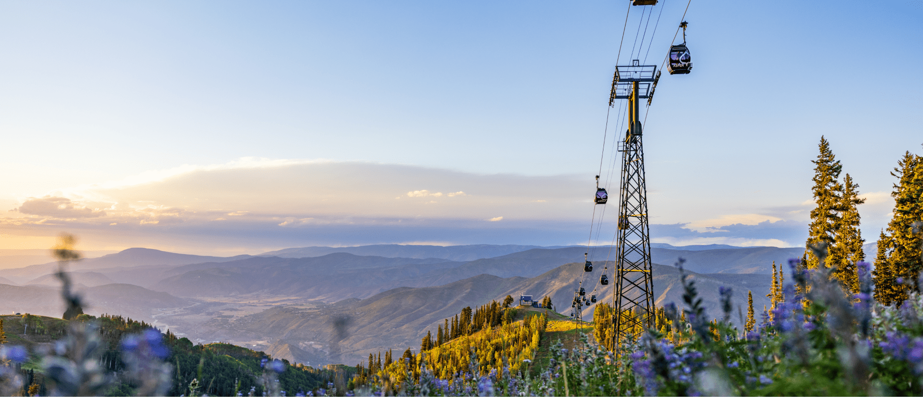Dawn light over aspen mountain, gondola runs over green grass and purple and white wildflowers