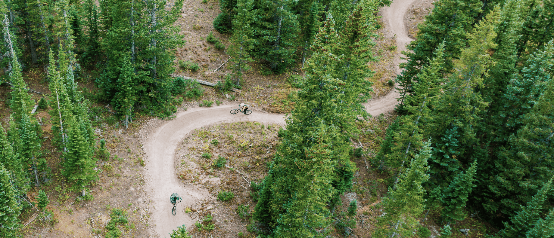 Single track trail winds through tall pine trees in Snowmass Bike Park