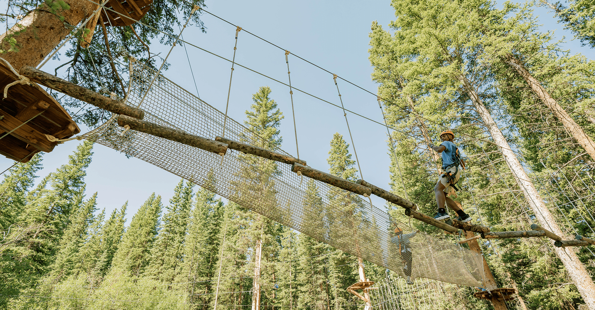 people on the sky bridge of Lost Forest during the summer months
