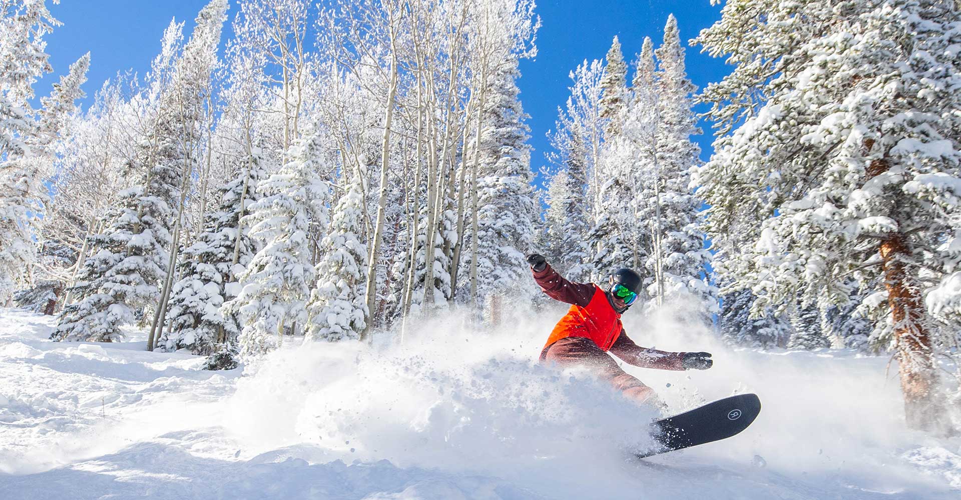 A snowboarder enjoys a tree run at Aspen Snowmass