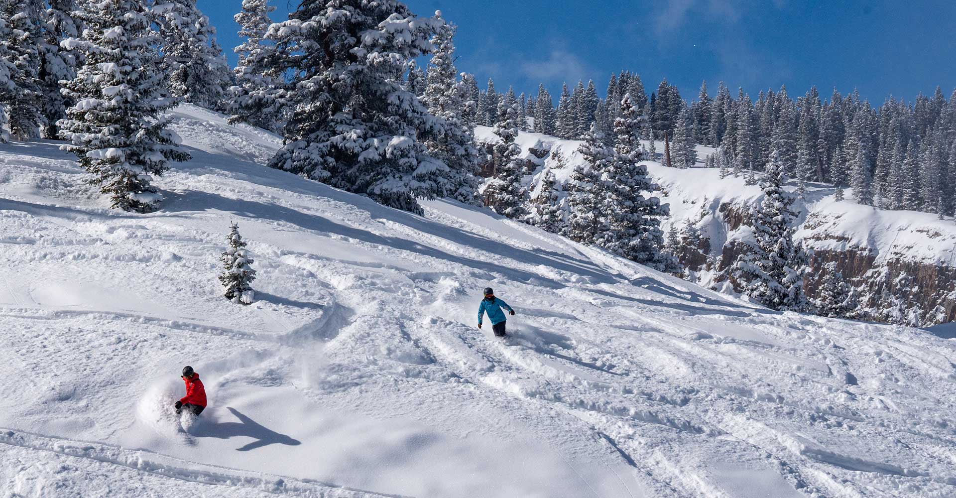 Two advanced snowboarders carve turns through Snowmass' famed glades.
