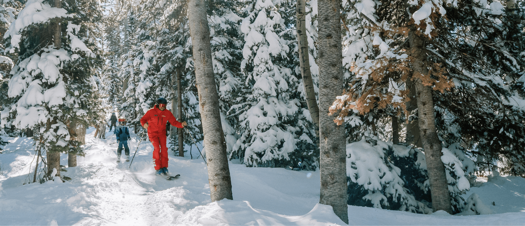 Ski Pro leads children through snowy trees at Buttermilk