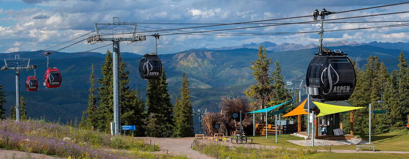 Wildflowers below the gondolas in Aspen Colorado.