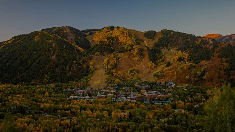 Fall foliage on Aspen Mountain, Colorado
