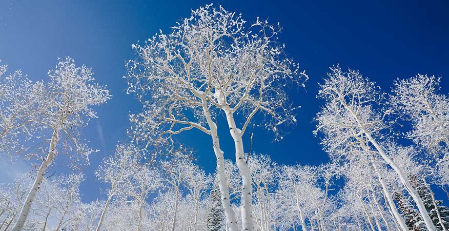 Snow forecast for Aspen Snowmass' 2020-21 winter