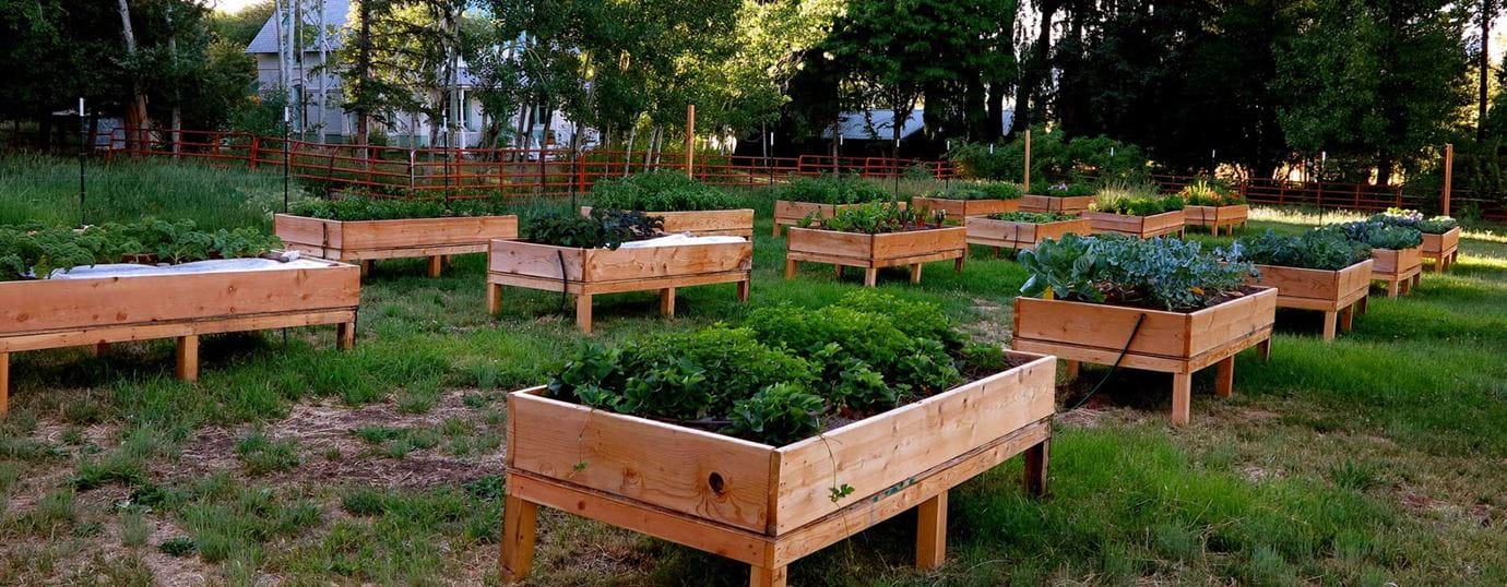 Composting at Aspen Snowmass