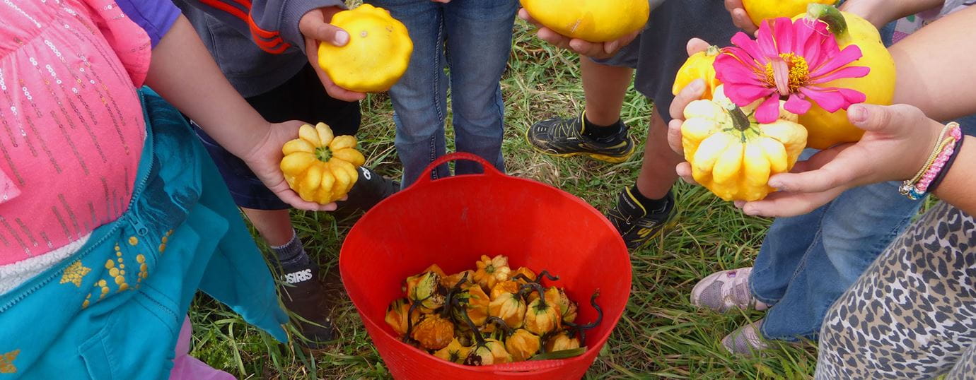 Environmental Foundation Grants 2017