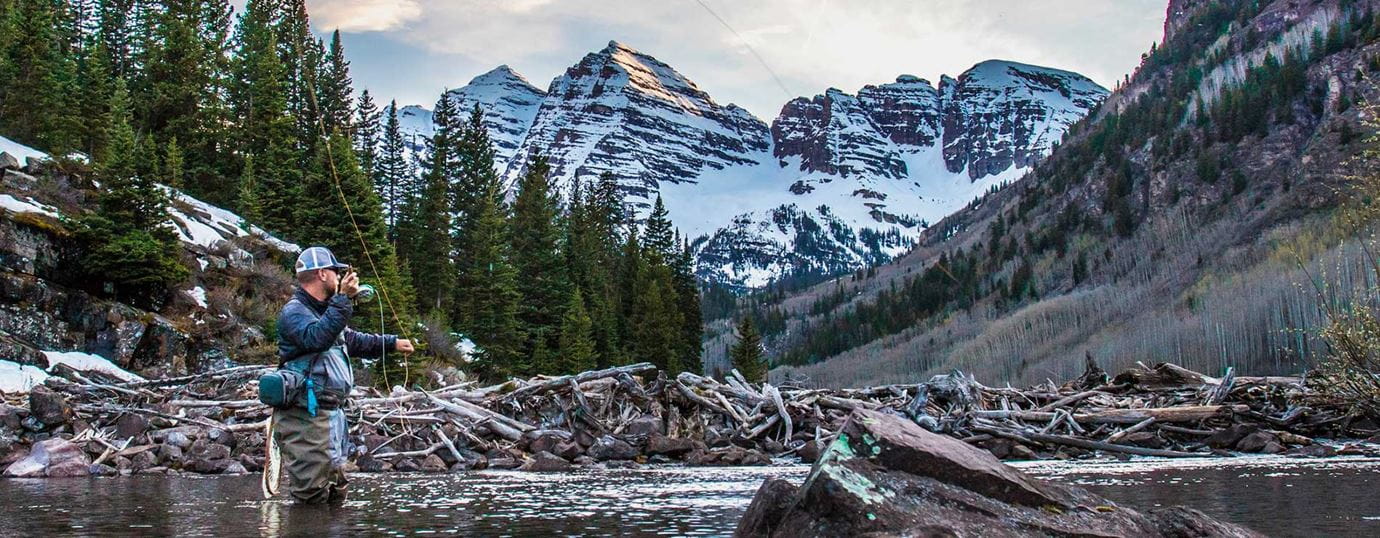 Environment Foundation Grants Update 2017