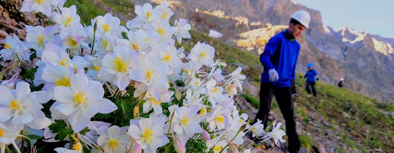 Environment Foundation Grants - Spring 2019