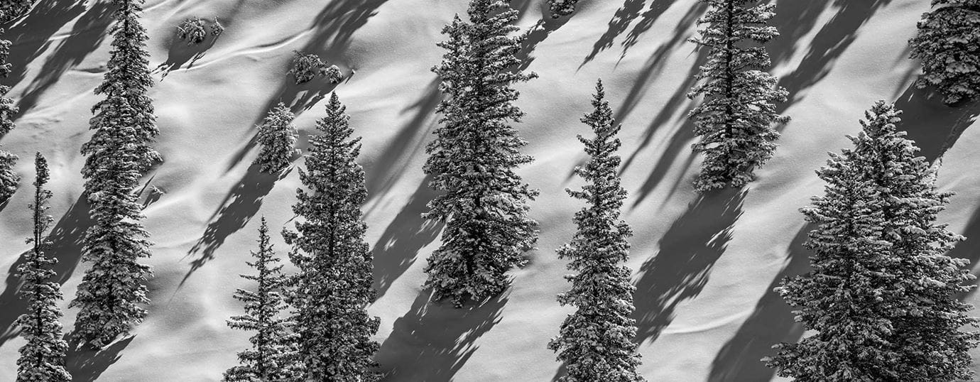 Update on Racial Justice efforts by Aspen Skiing Company