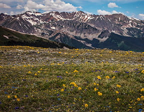 Summer Road Trip Colorado: Independence Pass