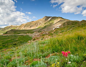 Summer Road Trip Colorado: Loveland Pass