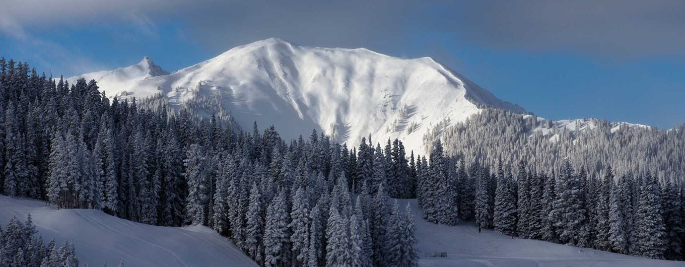 Ways to Help During COVID 19