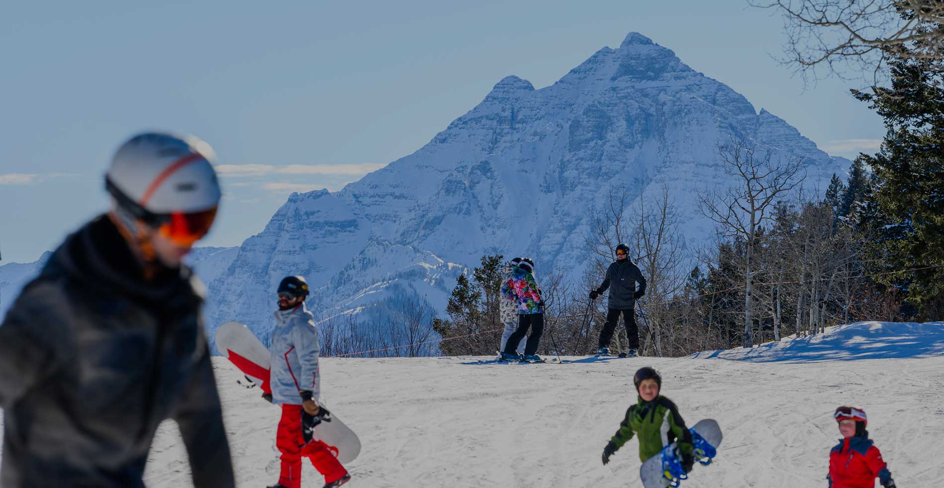 Buttermilk Experience