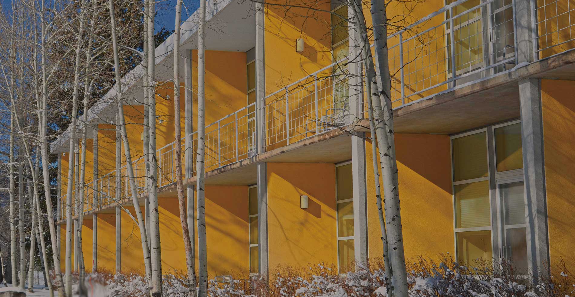 The Aspen Institute in winter